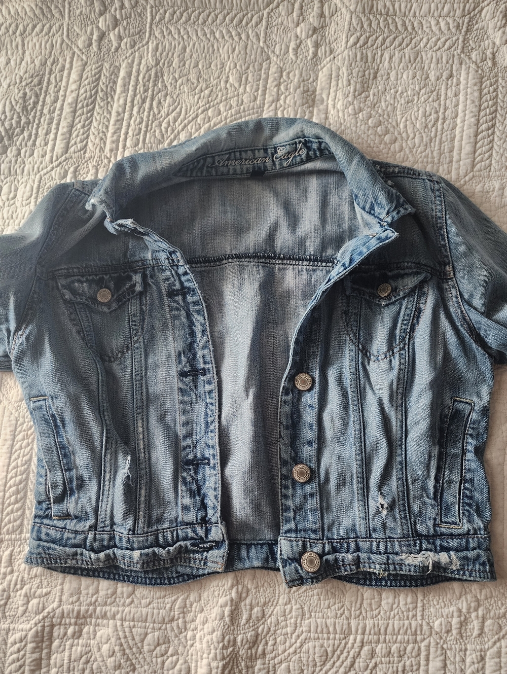 American Eagle Outfitters Light Blue Embroidered Denim Jacket